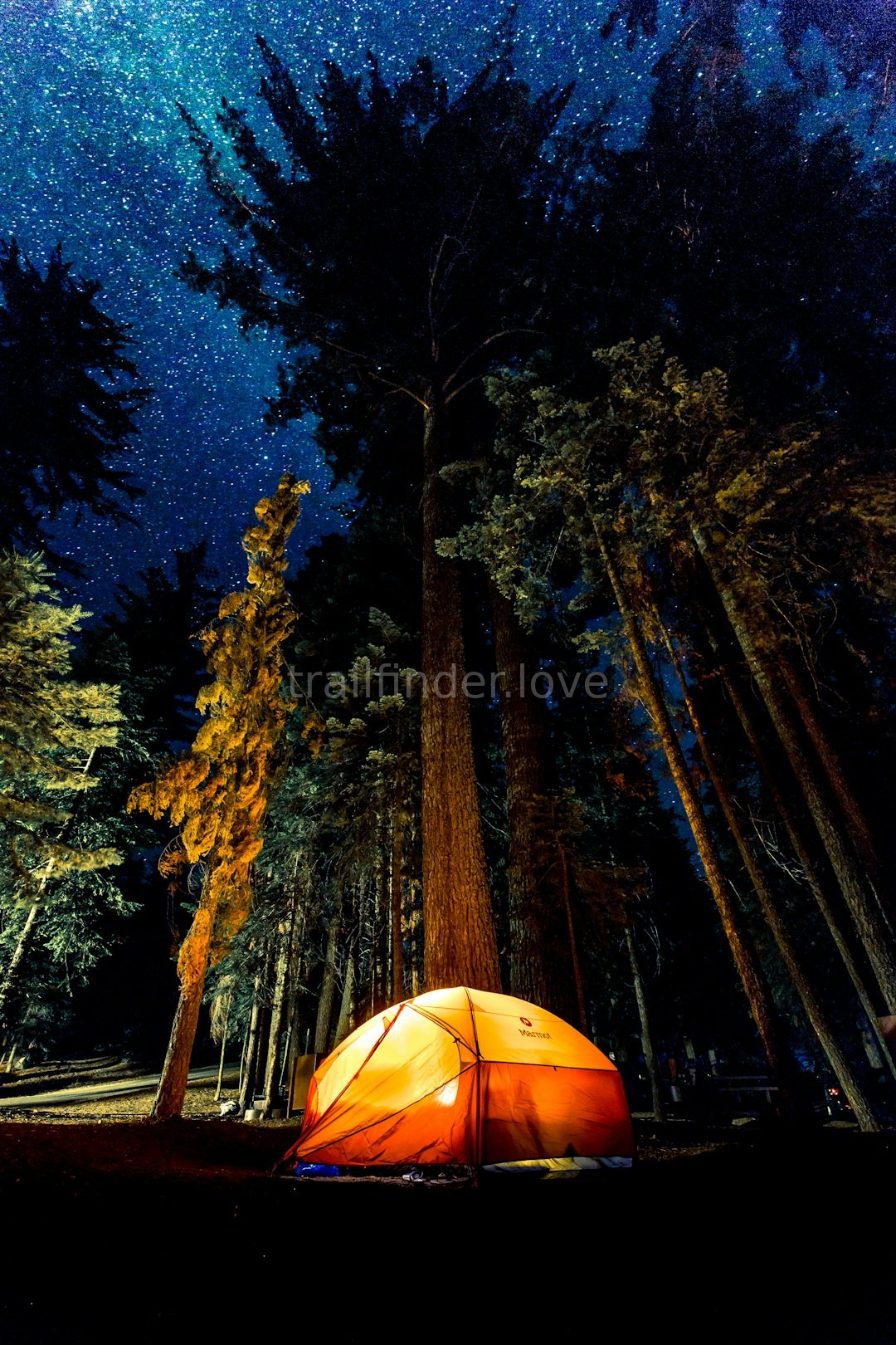 Wilderness