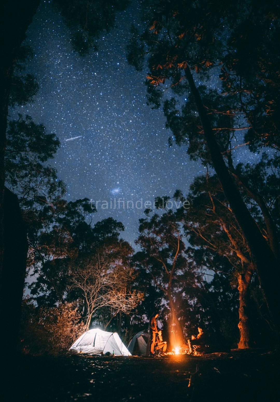 Wilderness