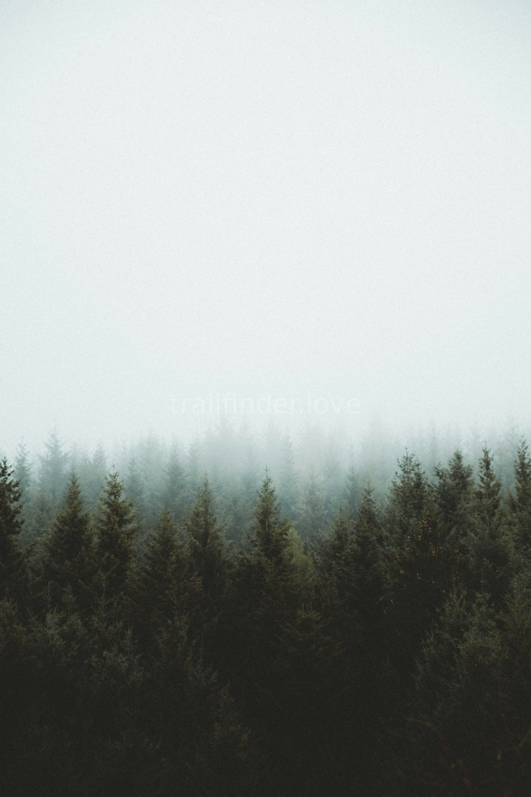 Wilderness Meditation