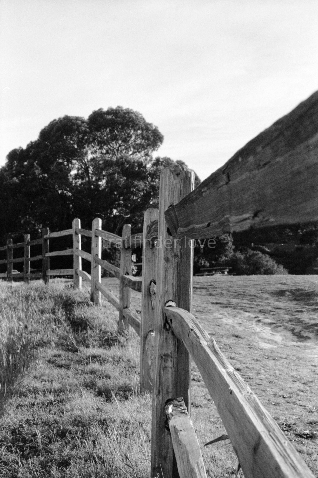 Guided Hikes