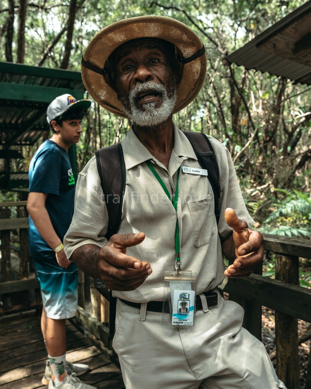 Wildlife Safari