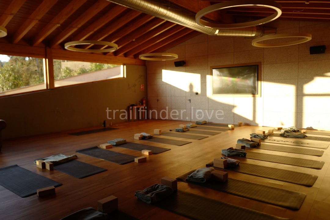 Meditation